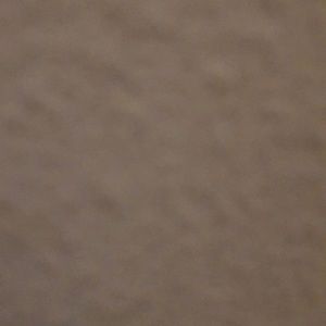 Meet your Posher, Charde